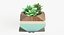 Decorate Plant 1