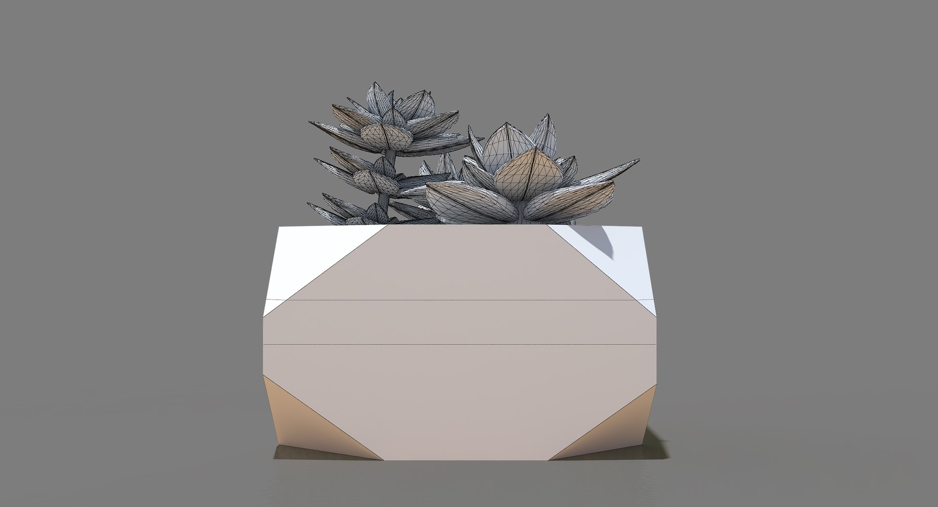 3d model of decorate plant 1 https://p.turbosquid.com/ts-thumb/QF/ZhuSPx/YY1vLp8r/08final/jpg/1471929005/1920x1080/fit_q87/f8b924eedd1ce2e4a1e1c0b618799d0bb4267791/08final.jpg