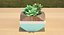 Decorate Plant 1