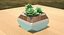 Decorate Plant 1