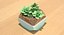 Decorate Plant 1