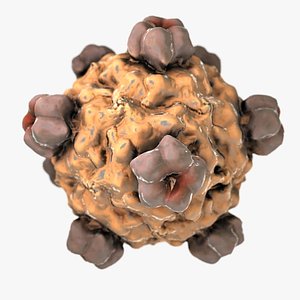 3d model virus bacteria pathogen