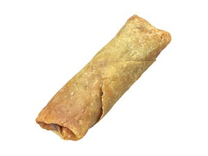 Highly Detailed Mini Spring Roll Scan