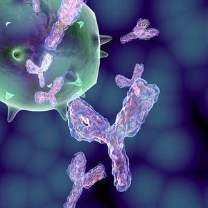 antibodies realistic biological 3d model
