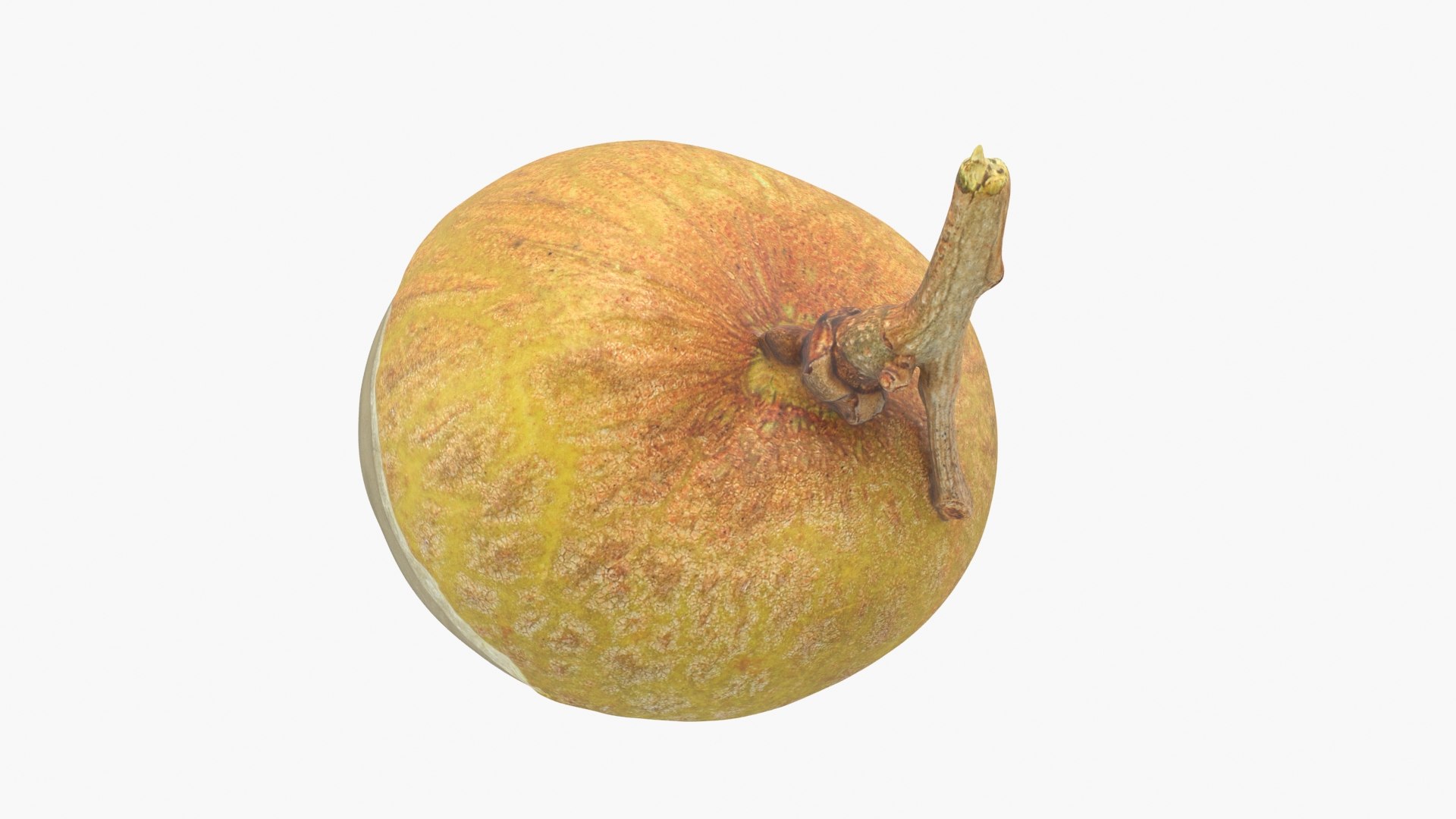 3D Peeled Longan 01 Model - TurboSquid 2113492