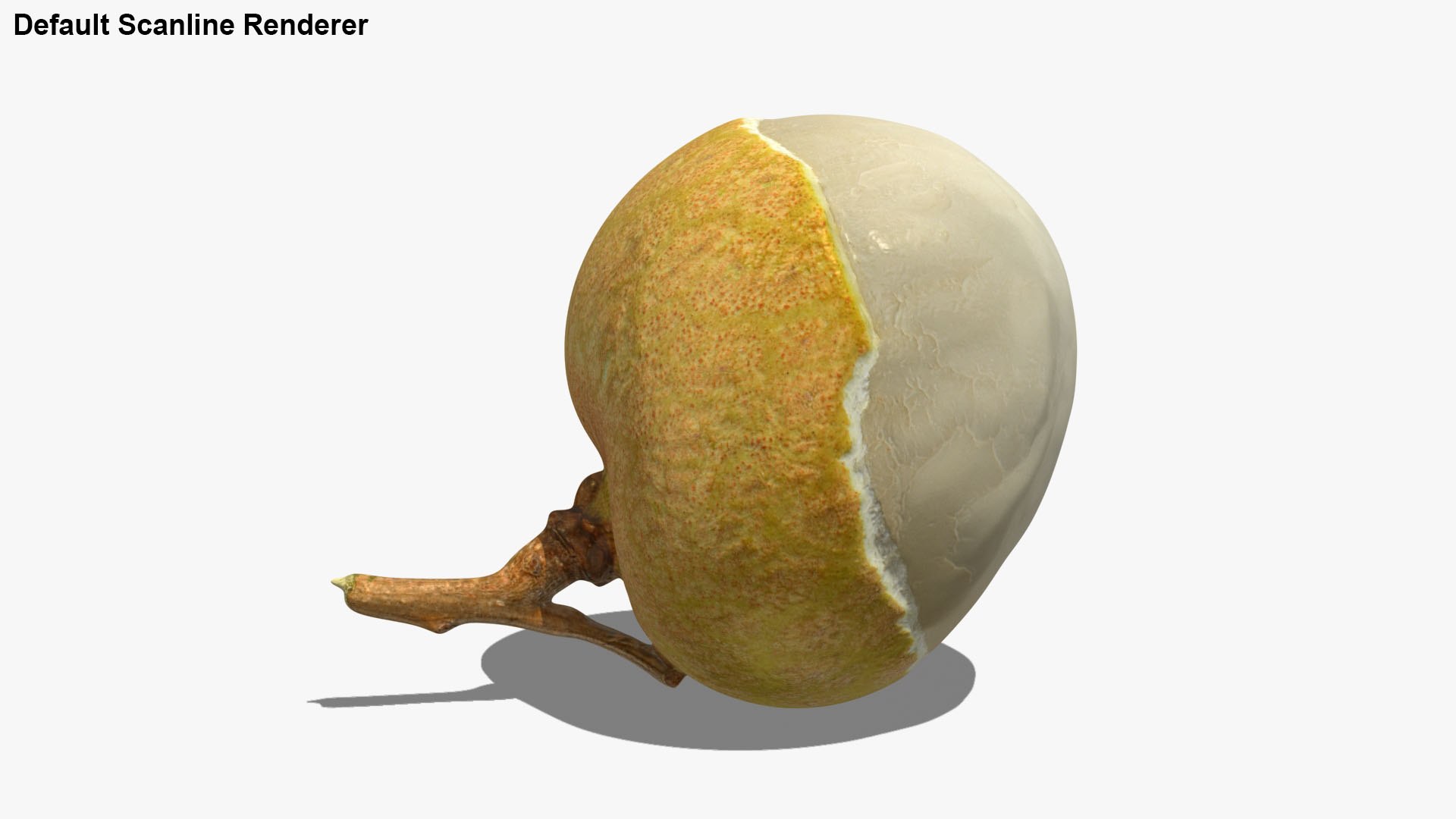 3D Peeled Longan 01 Model - TurboSquid 2113492