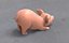 3D pig model