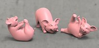 pigs