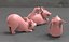 3D pig model