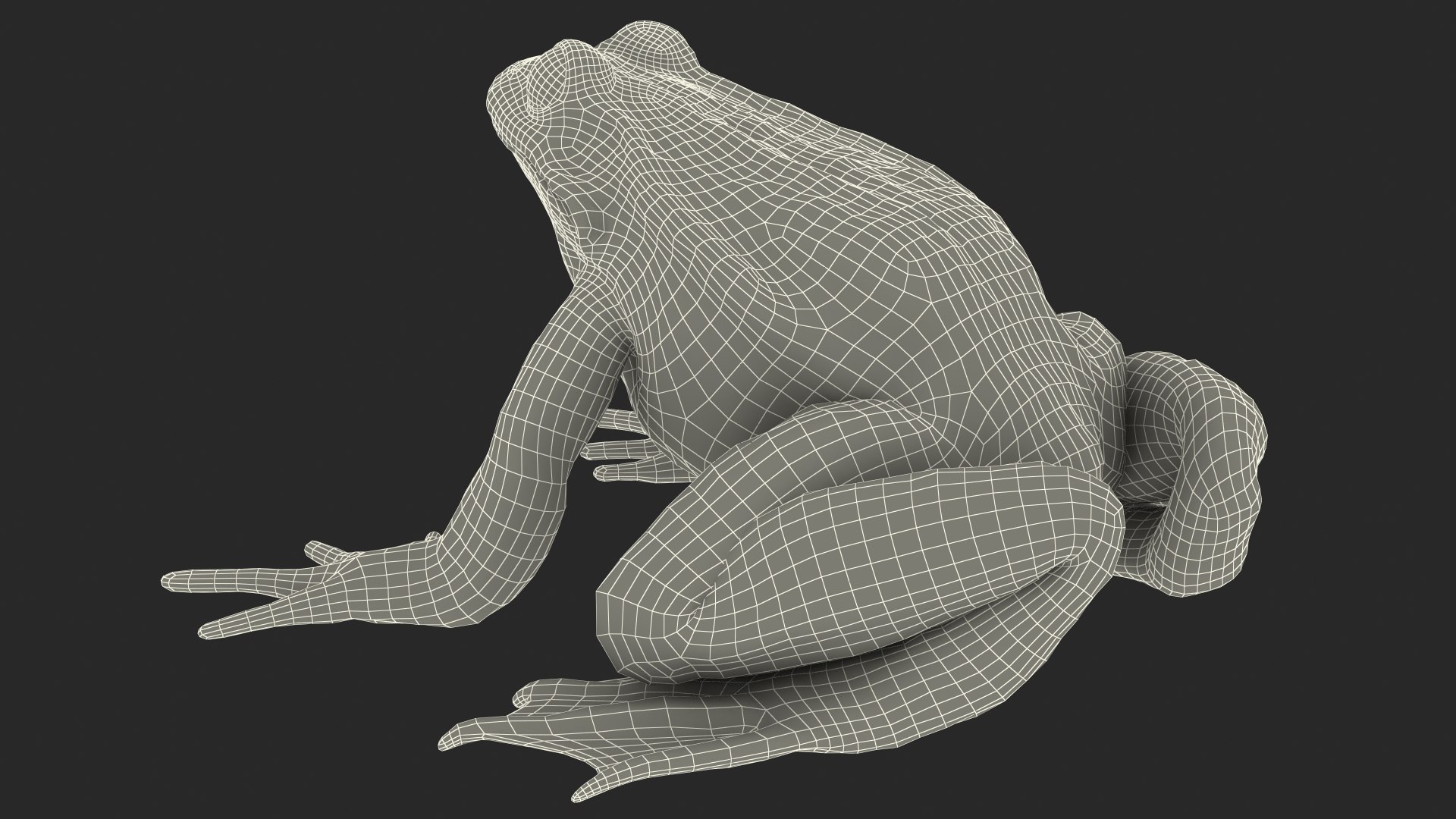 3D model rigged green frog https://p.turbosquid.com/ts-thumb/QG/S36bHO/1V/frogriggedmb3dmodel034/jpg/1617071108/1920x1080/fit_q87/ef11ae46a8ffb4927e07aec6ae8a1e33c289f3a3/frogriggedmb3dmodel034.jpg