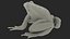 Frog Rigged