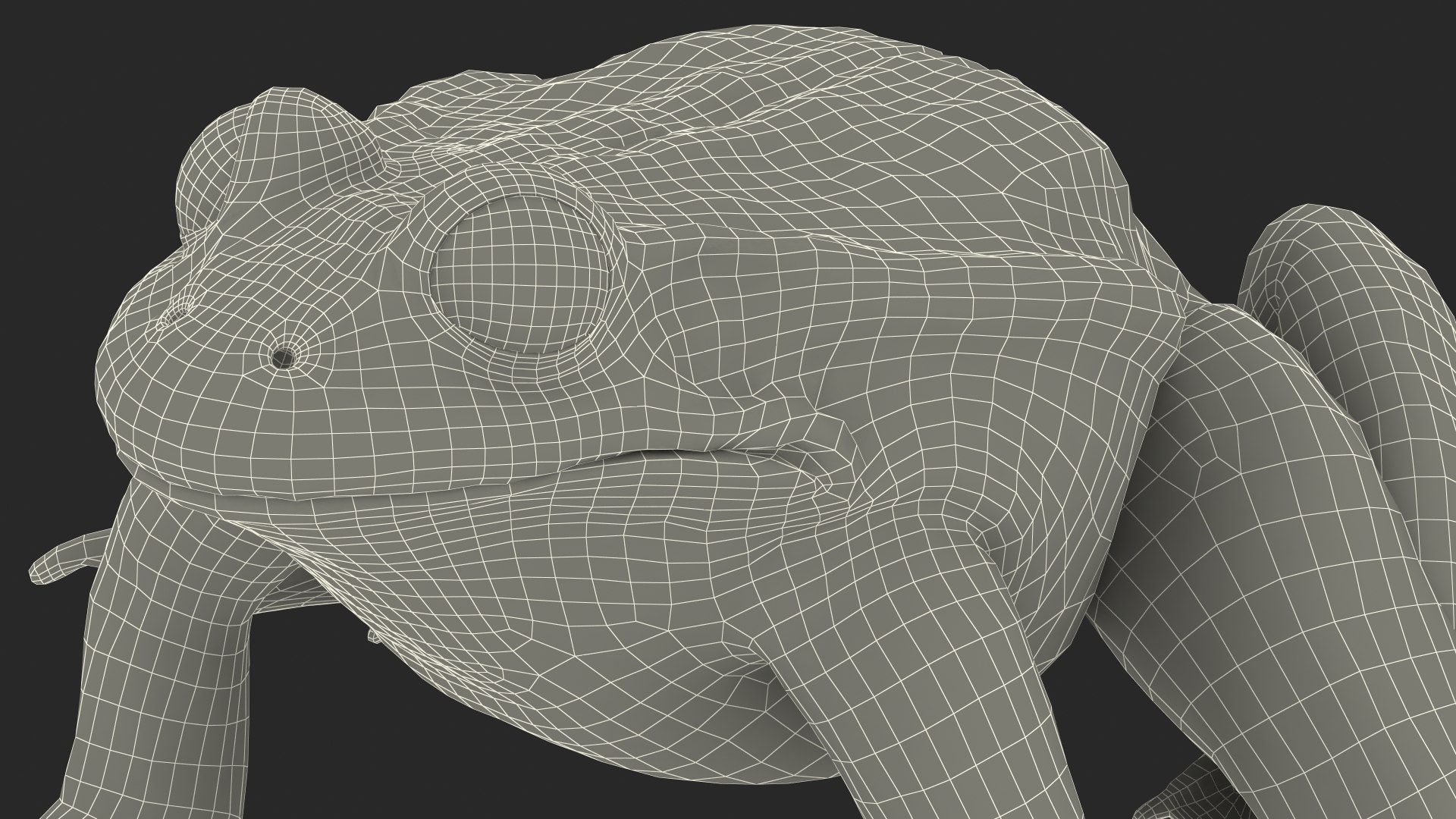 3D model rigged green frog https://p.turbosquid.com/ts-thumb/QG/S36bHO/AG/frogriggedmb3dmodel035/jpg/1617071114/1920x1080/fit_q87/92a1bd8cbb1ac839b7ac668b0ff6a084e7127da0/frogriggedmb3dmodel035.jpg