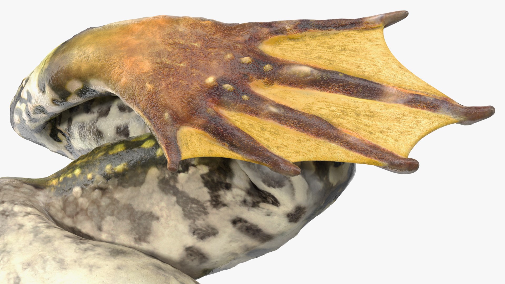 3D model rigged green frog https://p.turbosquid.com/ts-thumb/QG/S36bHO/Aa/frogriggedmb3dmodel025/jpg/1617071048/1920x1080/fit_q87/1f59bfc63de160dad5735b357e95ef7469cea008/frogriggedmb3dmodel025.jpg