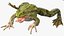 Frog Rigged