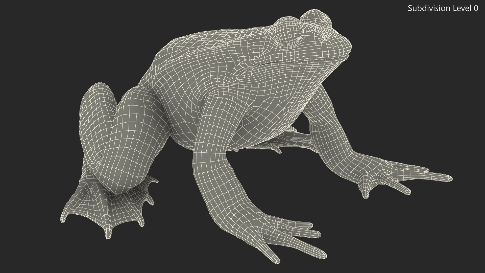 3D model rigged green frog https://p.turbosquid.com/ts-thumb/QG/S36bHO/D0/frogriggedmb3dmodel029/jpg/1617071075/1920x1080/fit_q87/9d112d52513d8c918dcbfc2a80df2a4dc7d3221d/frogriggedmb3dmodel029.jpg