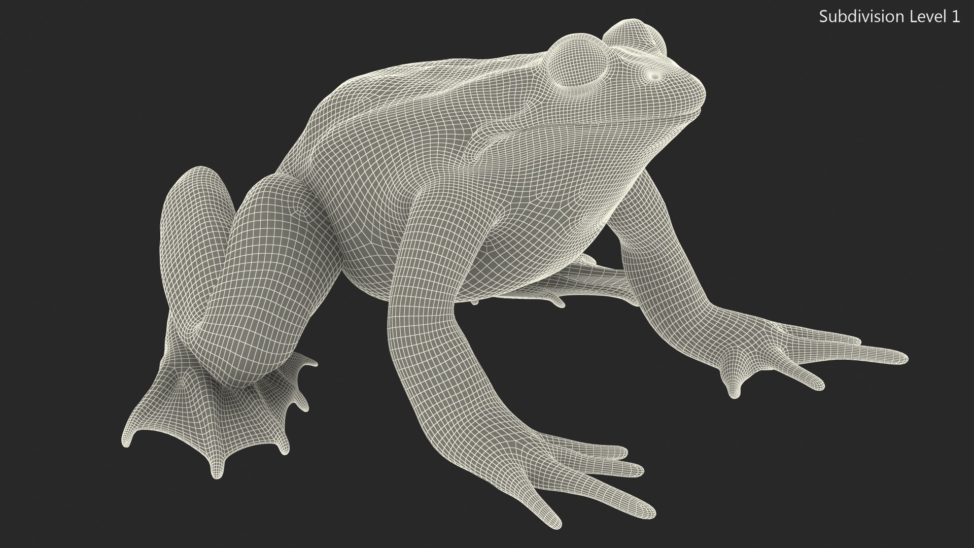 3D model rigged green frog https://p.turbosquid.com/ts-thumb/QG/S36bHO/aO/frogriggedmb3dmodel030/jpg/1617071081/1920x1080/fit_q87/7aa8759f9ac88a4095b55135e59d05898bde3181/frogriggedmb3dmodel030.jpg