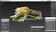Frog Rigged