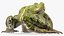 Frog Rigged
