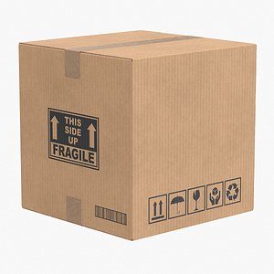 Cardboard Box 1 Closed V1