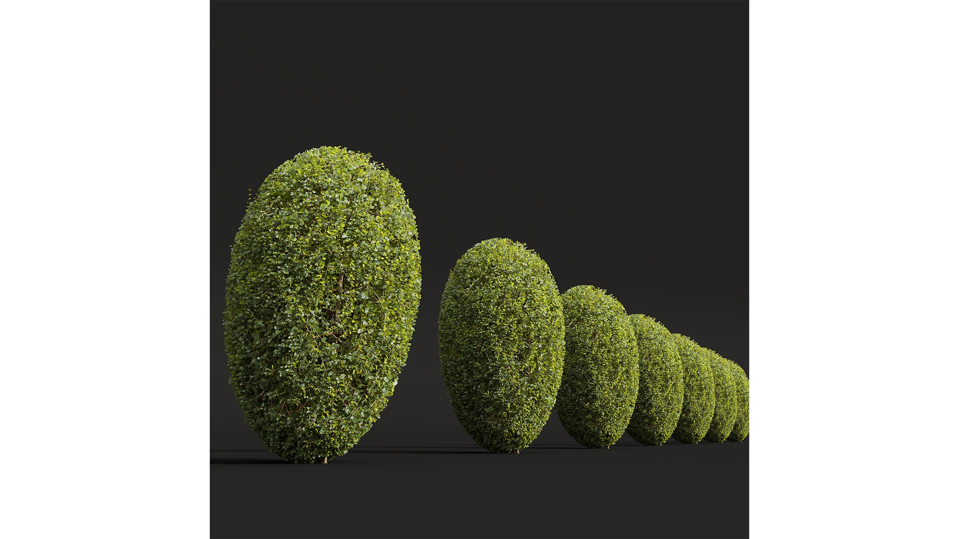 New Plant Ficus Concinna Bonsai Pruned04 3D model https://p.turbosquid.com/ts-thumb/QG/hb3WuZ/WG/z04/png/1709556996/1920x1080/fit_q87/6a0cd610c6c157742509f2f0218fb4d54ae1e2c1/z04.jpg