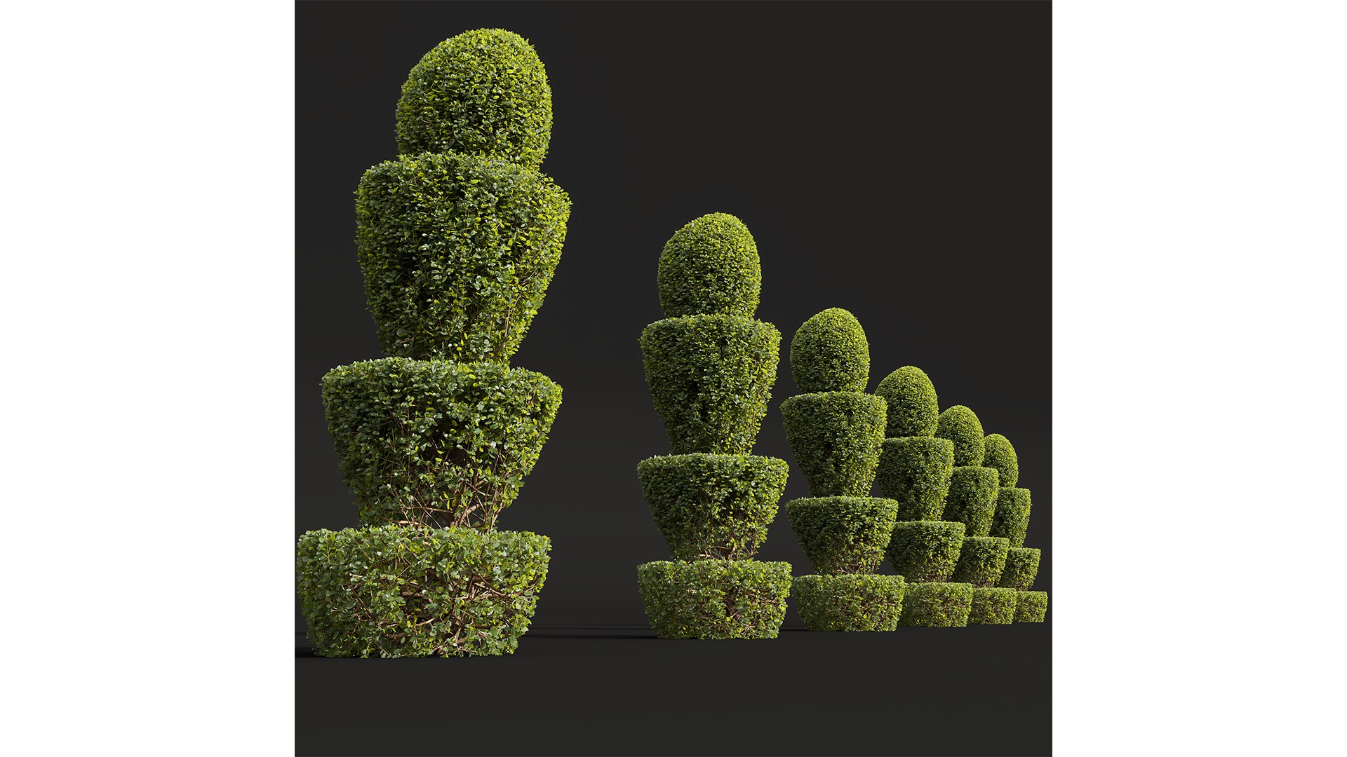 New Plant Ficus Concinna Bonsai Pruned04 3D model https://p.turbosquid.com/ts-thumb/QG/hb3WuZ/nt/z03/png/1709556996/1920x1080/fit_q87/0c94d117a3abc4c1969c5f5615ee0c5bb7215bf8/z03.jpg