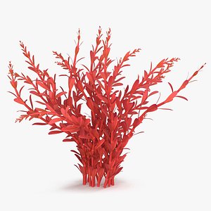 3D Artificial Rotala Aquatic Plant Red