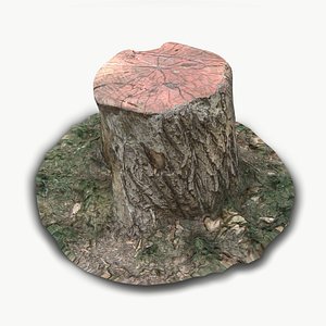 Stump01