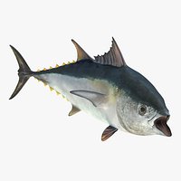 Tuna Fish Rigged