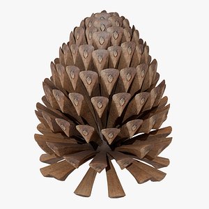 Pine Cone PBR(1)