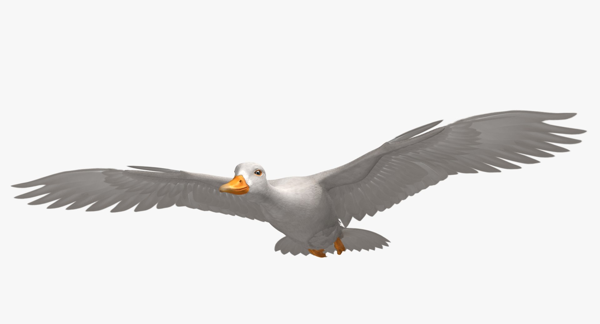 anas platyrhynchos white domestic 3d obj https://p.turbosquid.com/ts-thumb/QH/1MNpSs/6IusqcL7/rp05/jpg/1465538158/1920x1080/fit_q87/bd6aafb5f6654bd042080913c02a470d90fb8348/rp05.jpg