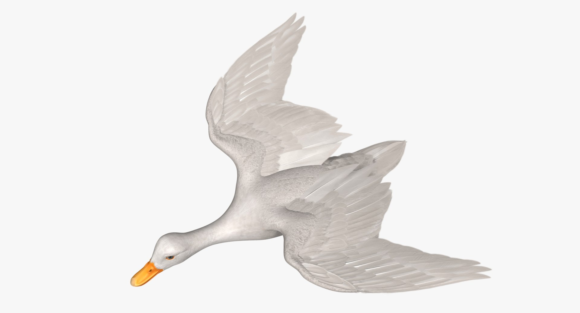 anas platyrhynchos white domestic 3d obj https://p.turbosquid.com/ts-thumb/QH/1MNpSs/L6FDRGPj/rp10/jpg/1465538804/1920x1080/fit_q87/b6a45752ba7f246d150546f6879155a598a31050/rp10.jpg