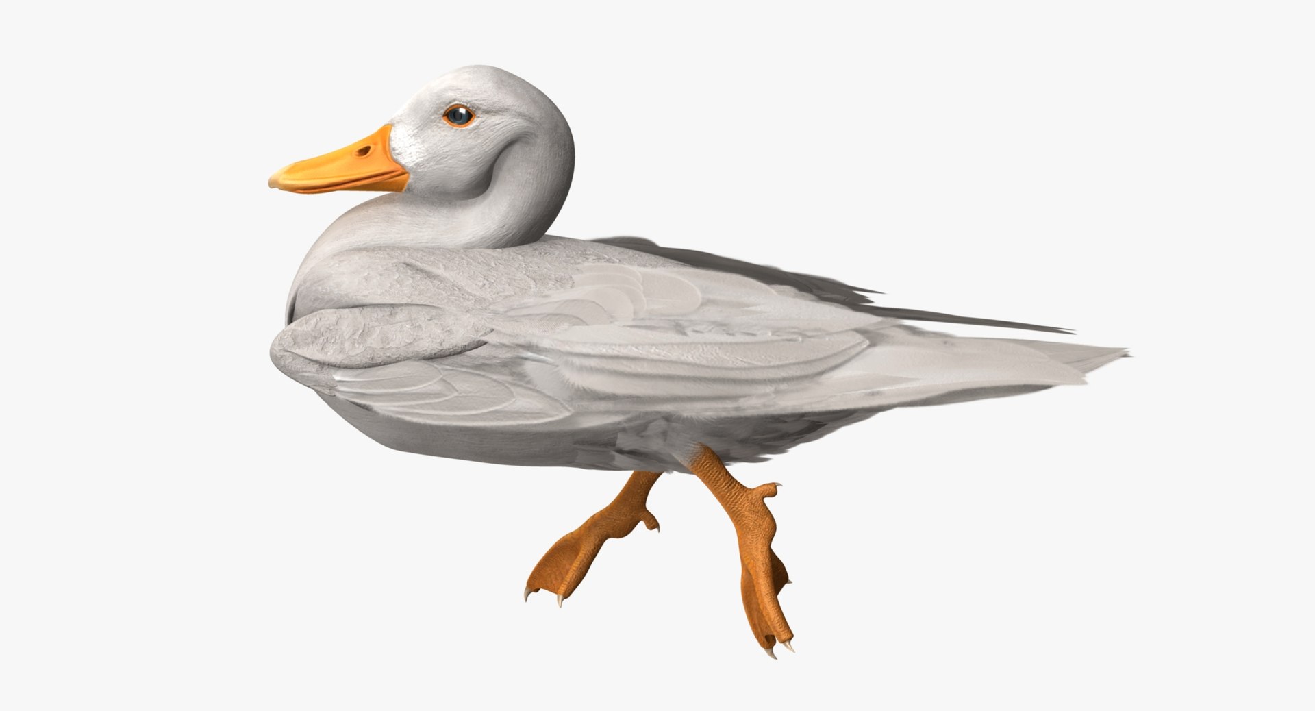 anas platyrhynchos white domestic 3d obj https://p.turbosquid.com/ts-thumb/QH/1MNpSs/Q6Xxyzij/rp03/jpg/1465538158/1920x1080/fit_q87/d2ee5657b60b4ab1ace0ef1a205255c2eafd1ed6/rp03.jpg