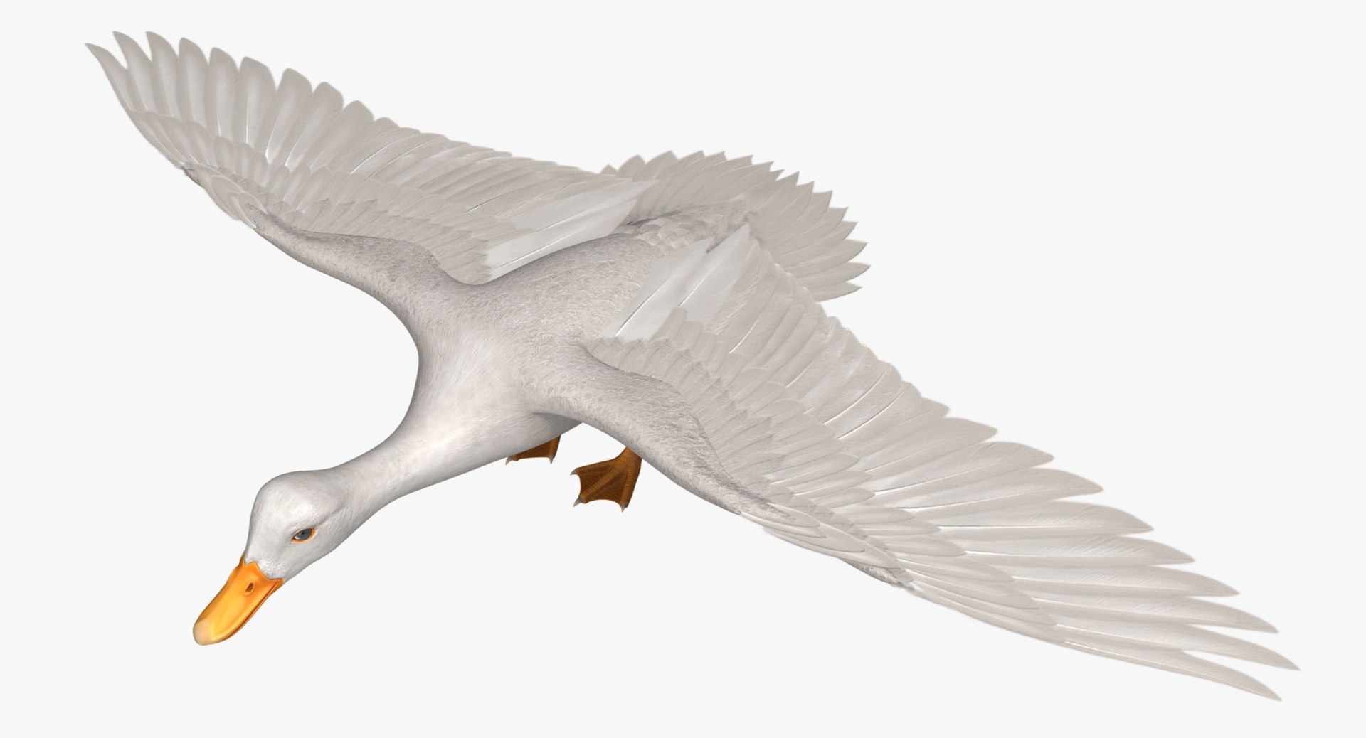 anas platyrhynchos white domestic 3d obj https://p.turbosquid.com/ts-thumb/QH/1MNpSs/YPbG8rW6/r00/jpg/1465536450/1920x1080/fit_q87/4a3b37189b315c84df0016524ca8681d0c1ef169/r00.jpg