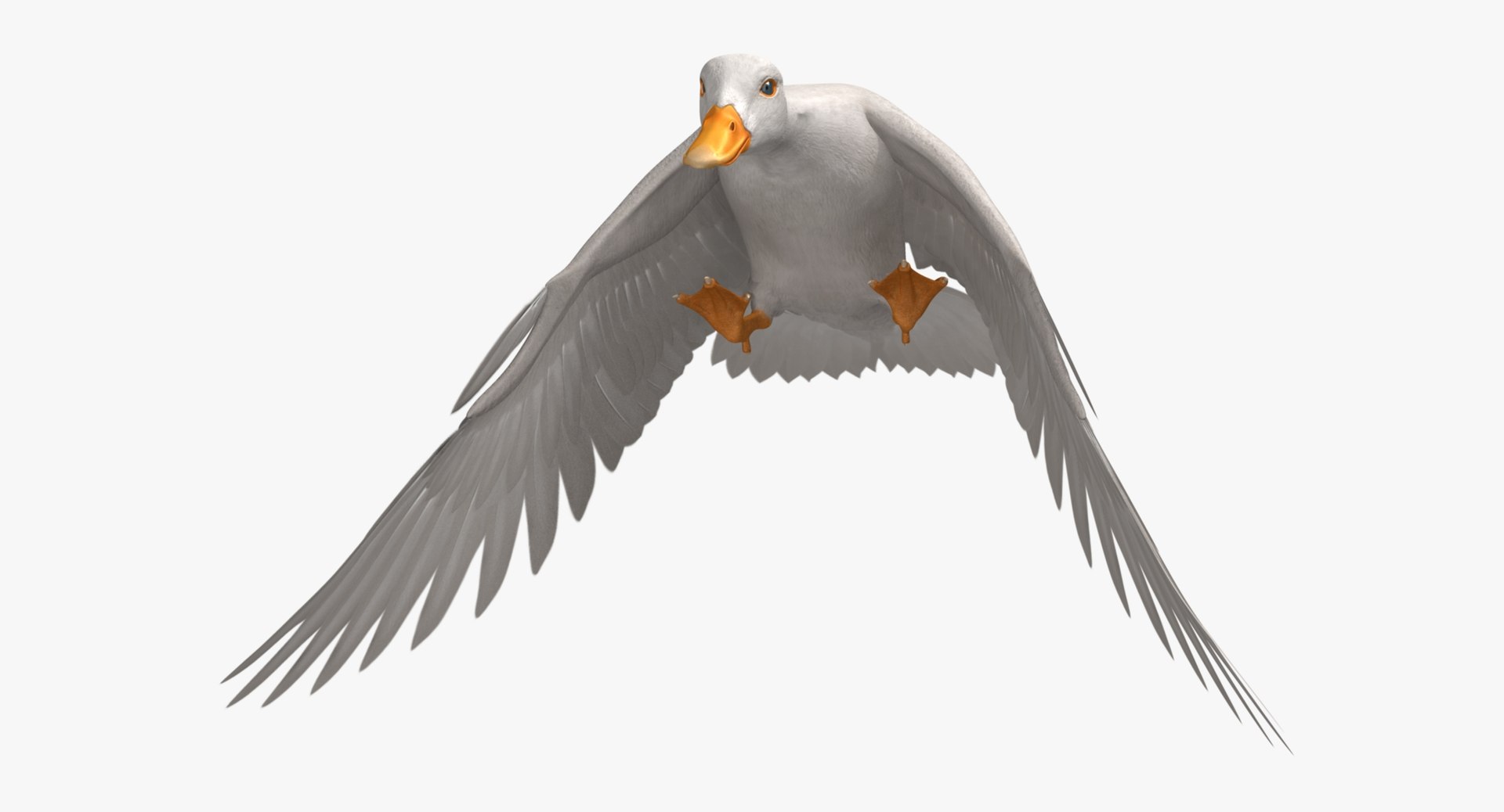 anas platyrhynchos white domestic 3d obj https://p.turbosquid.com/ts-thumb/QH/1MNpSs/t0XWESHy/rp07/jpg/1465538158/1920x1080/fit_q87/e7bab46727177d4f24526da38c8267c2deb7876b/rp07.jpg