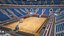 basketball arena ball court model