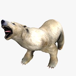 polar bear animations 3d model