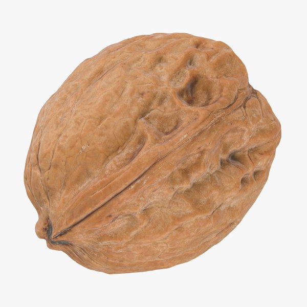 3D Walnut Shell 03 model