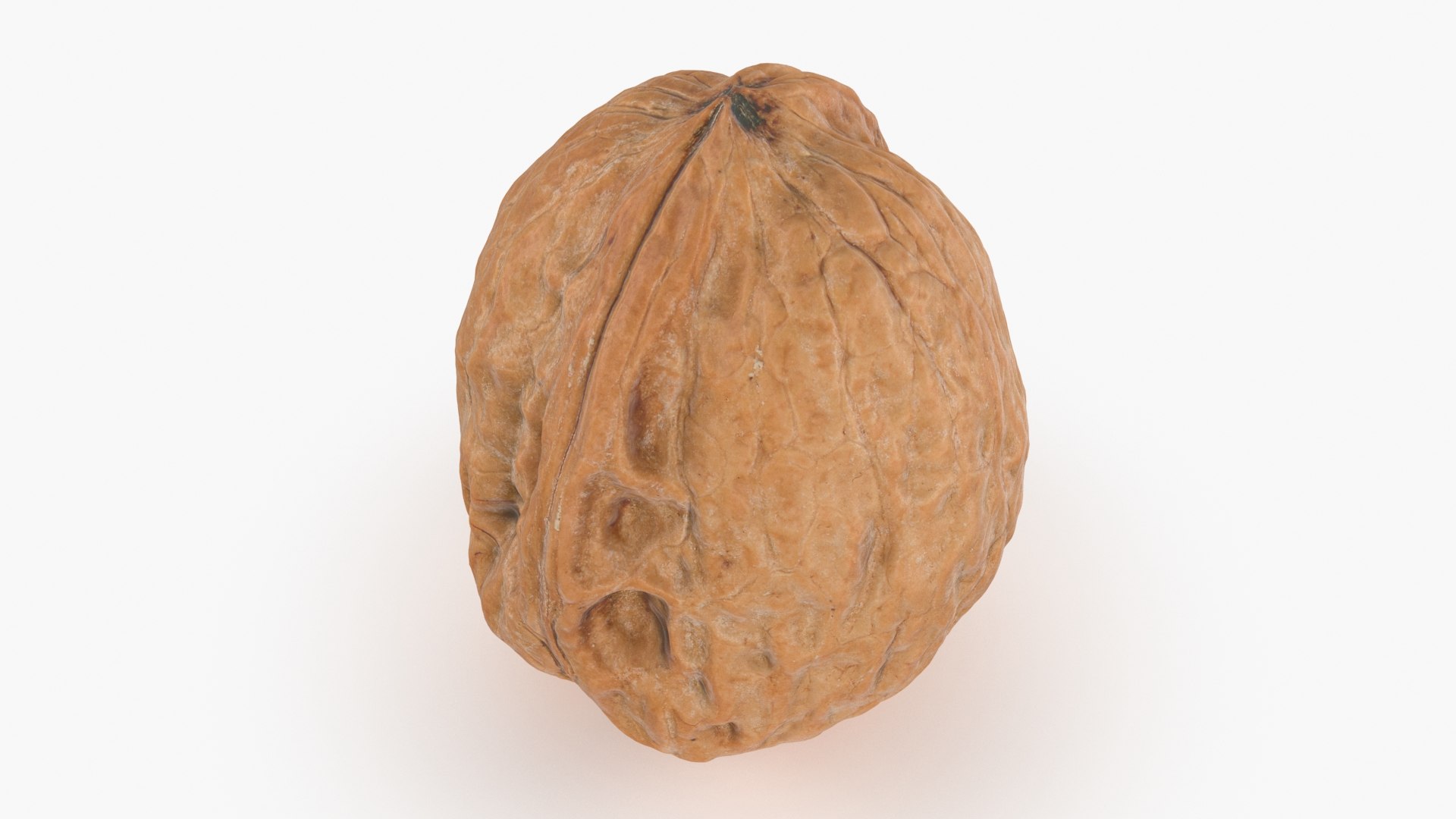3D Walnut Shell 03 model https://p.turbosquid.com/ts-thumb/QH/8wmJqr/LT/walnut_shell_3_b0018/jpg/1674109390/1920x1080/fit_q87/2e870d6127caa6fd561dd6d4b5609e4f6593e3c3/walnut_shell_3_b0018.jpg