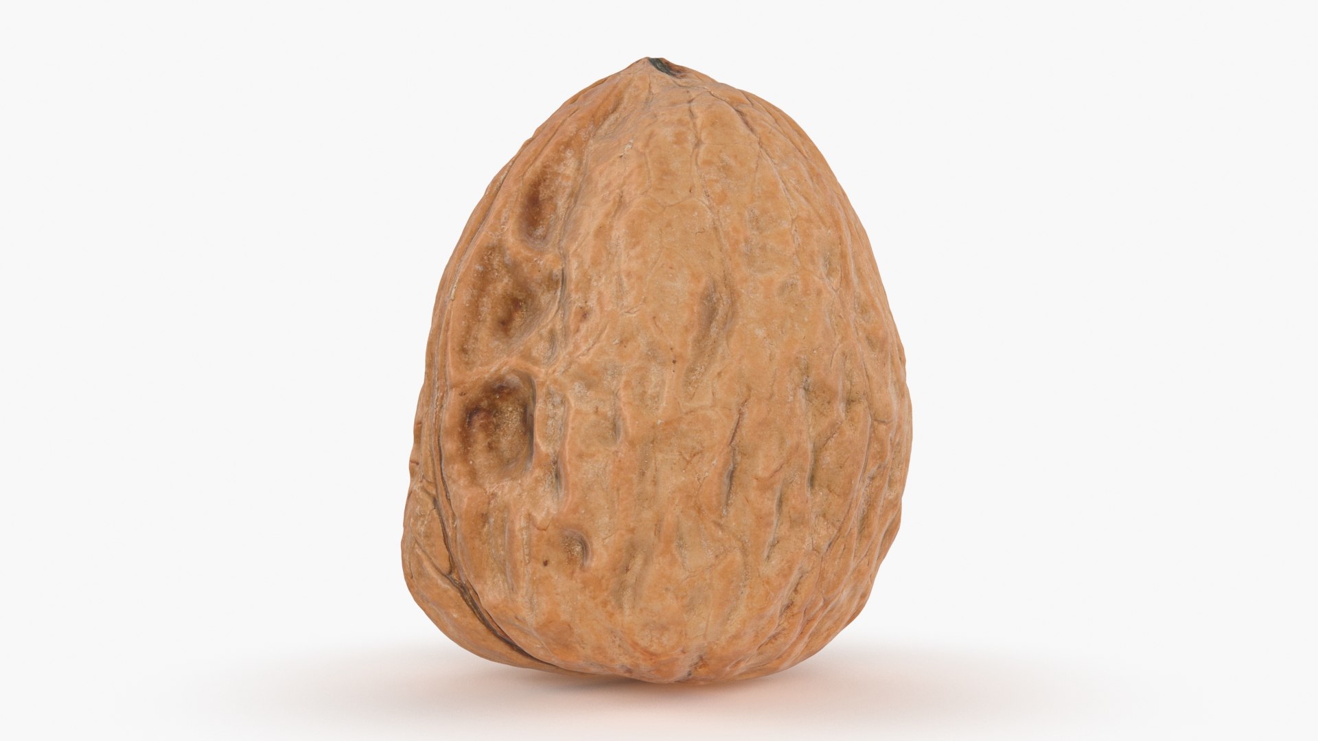 3D Walnut Shell 03 model https://p.turbosquid.com/ts-thumb/QH/8wmJqr/pg/walnut_shell_3_b0012/jpg/1674109387/1920x1080/fit_q87/877b4399eebe637162034f8eab0828ab97ddbe83/walnut_shell_3_b0012.jpg