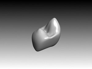 premolar mandibular crown 3ds