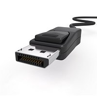 Display Port Male Connector