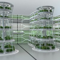 Hydroponics Vertical Farm