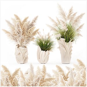 3D model Dried flower bouquets branches Cortaderia pampas