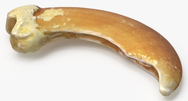 Cat outlet claw bone
