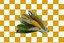 Corn Cobs model