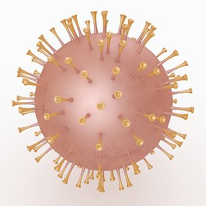 Corona Virus