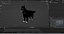 Fur Wolf Rigged i animacja w Blenderze