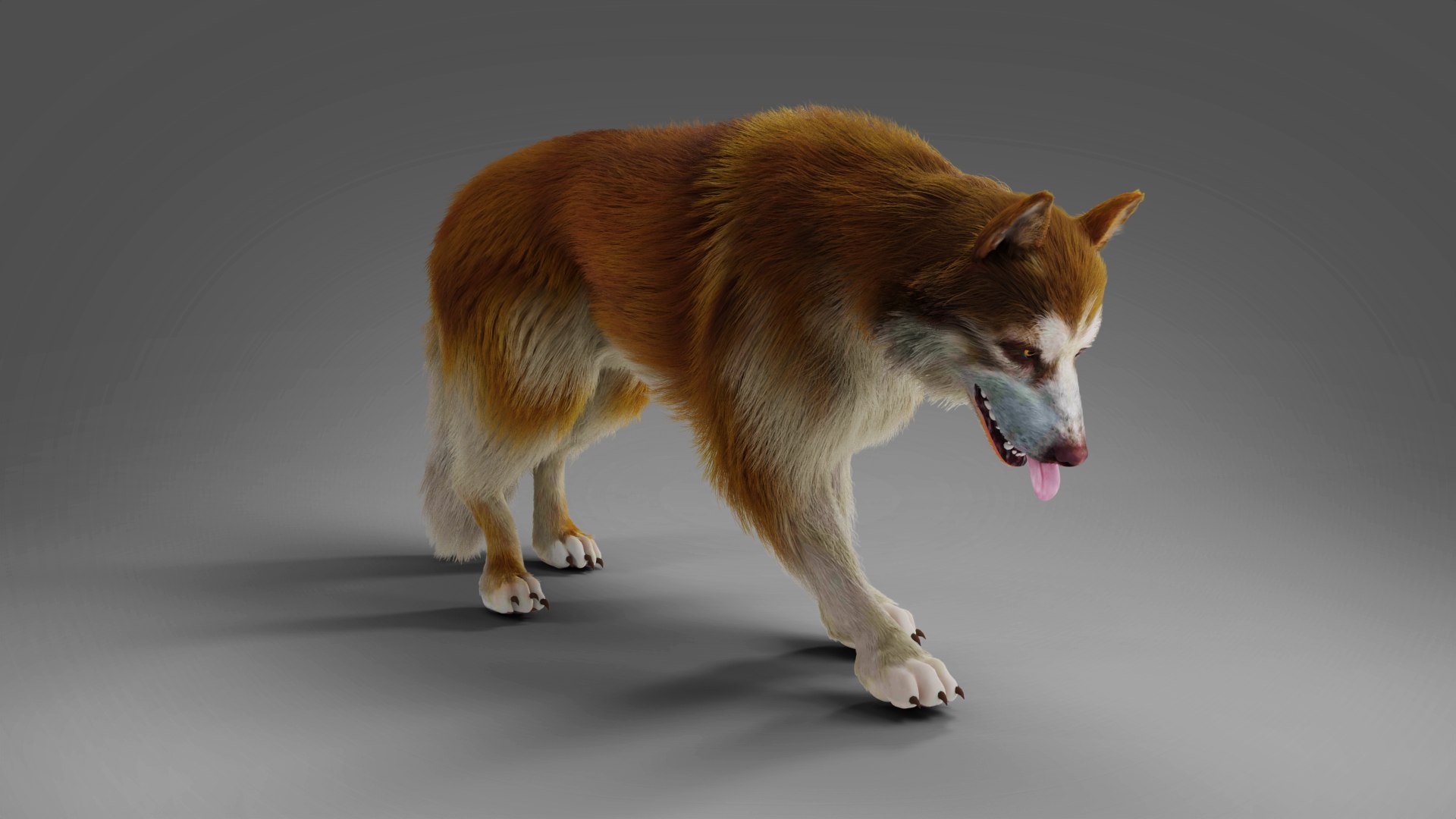 3D Fur Wolf Rigged and Animation in Blender https://p.turbosquid.com/ts-thumb/QH/xjOdyA/4r/06/jpg/1668531881/1920x1080/fit_q87/54c643bf503863d5181ac30f330c8c0269807734/06.jpg