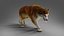 Fur Wolf Rigged i animacja w Blenderze