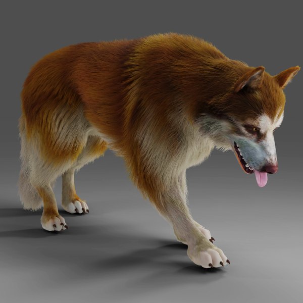 3D Fur Wolf Rigged and Animation in Blender - TurboSquid 1987934
